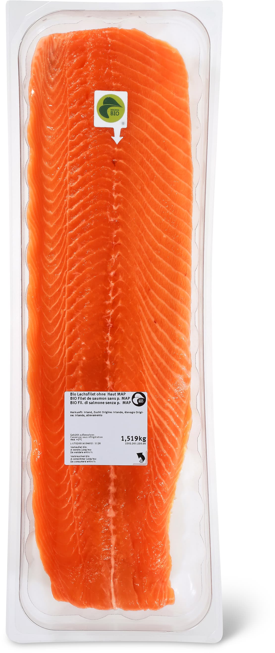Filetto di salmone